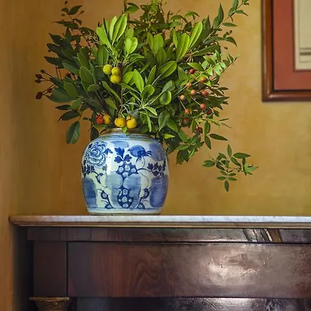 Experience - Relais Il Termine Elba ホテル